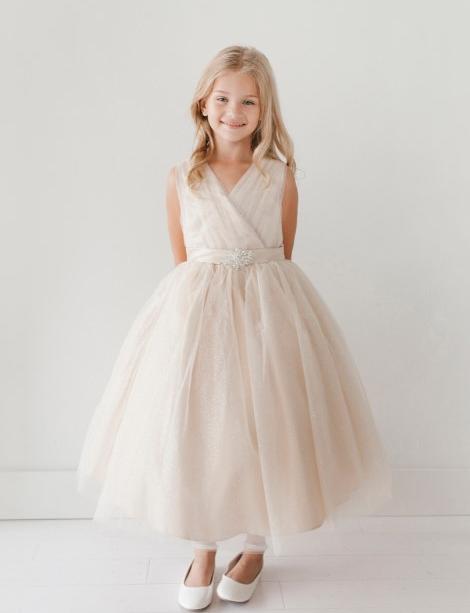 Little girl in a beautiful dress